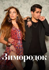 Зимородок 3 сезон 1-101 серия турецкий сериал русская озвучка смотреть бесплатно онлайн все серии